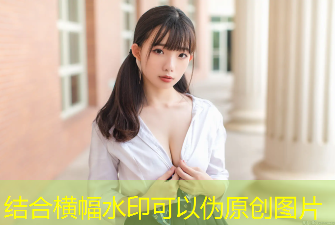 <strong>室內健身器材系列</strong>