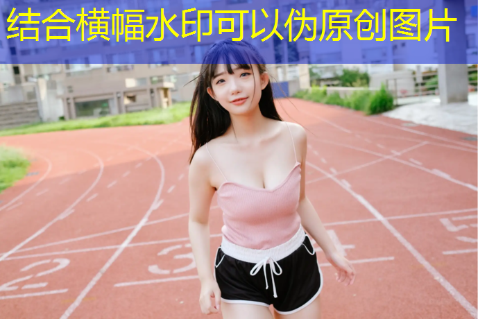 乒乓球臺的端線(xiàn)是什么